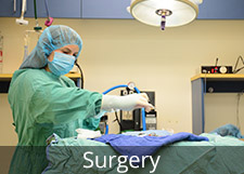 Surgery
